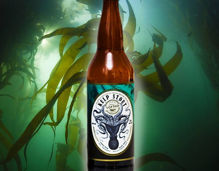 kelpstout