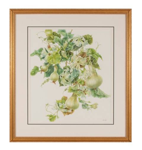 Basils-Gourds-Heine