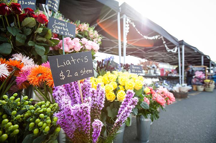 FDV-FlowerMarket-121 (1)