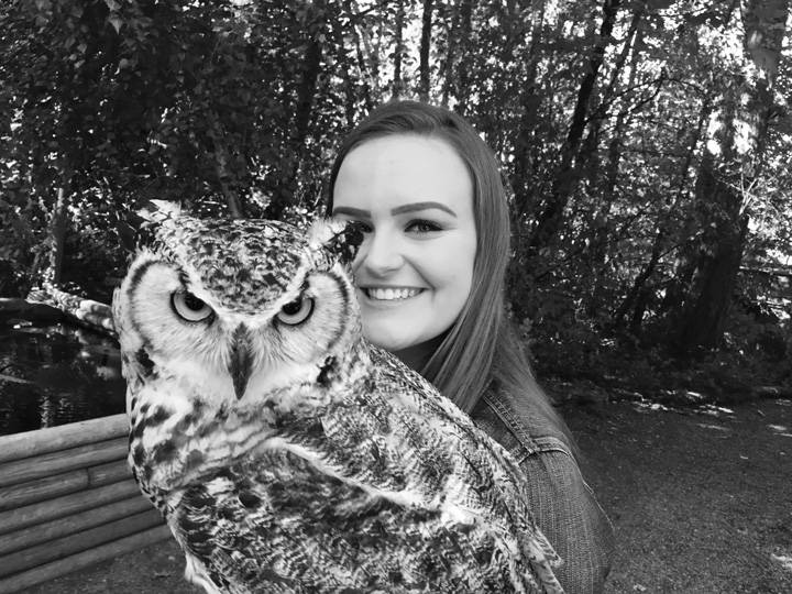 Experiences-Owl