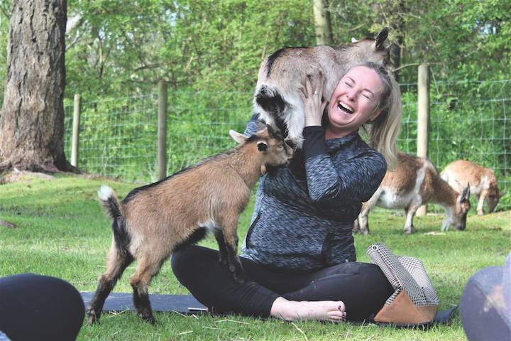 GoatYoga