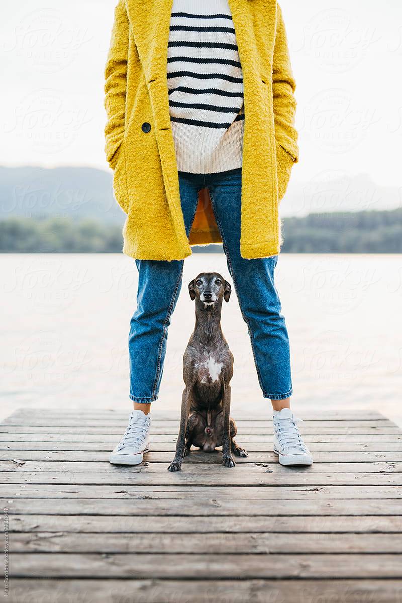 dog