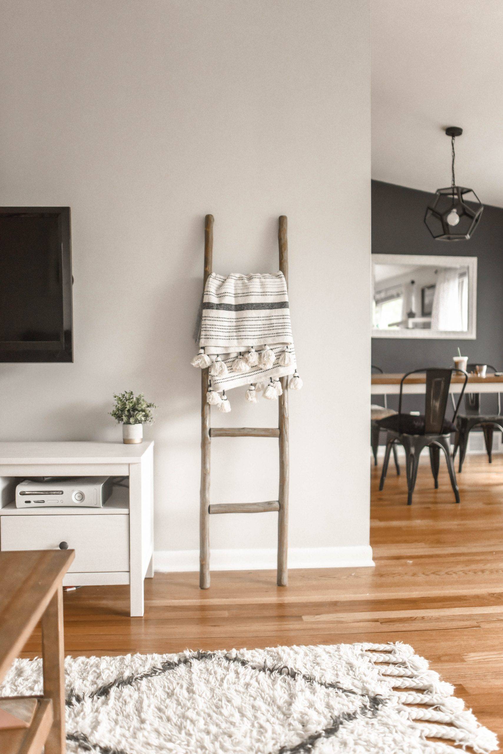 chairs and furniture for the living room