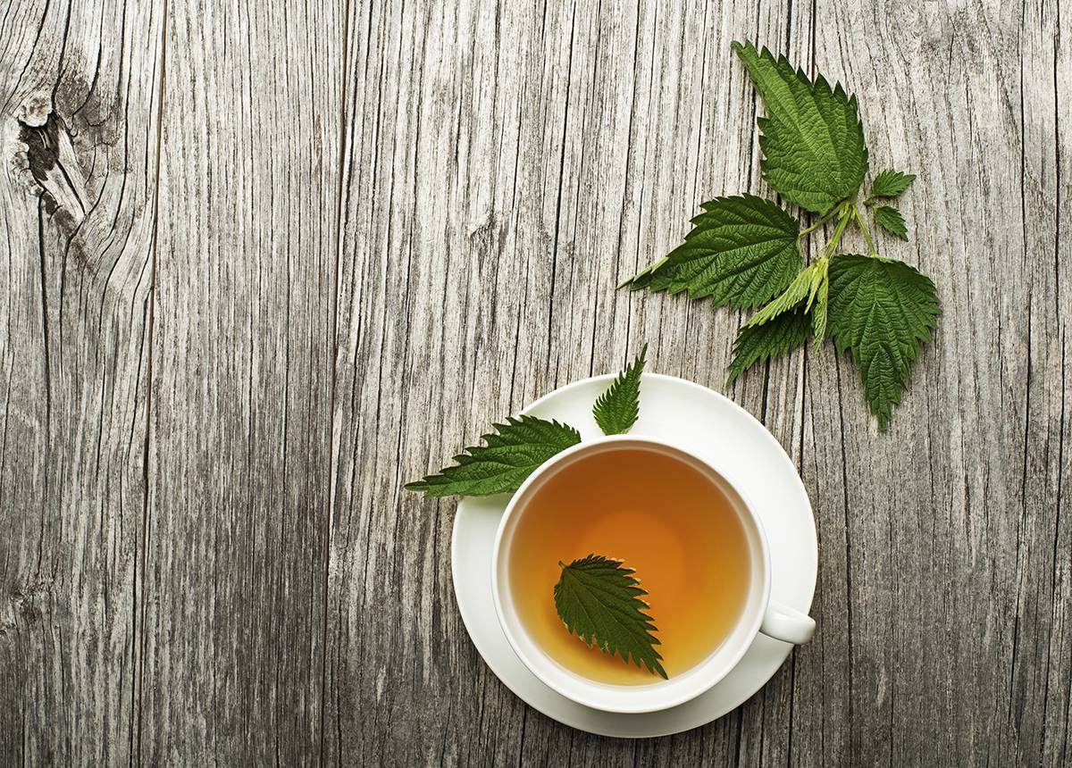 NettleTea