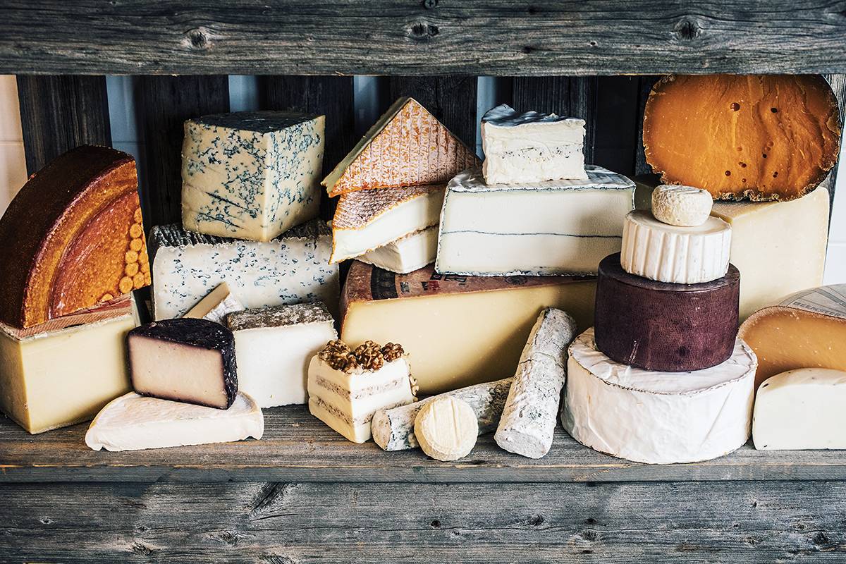 Cheese