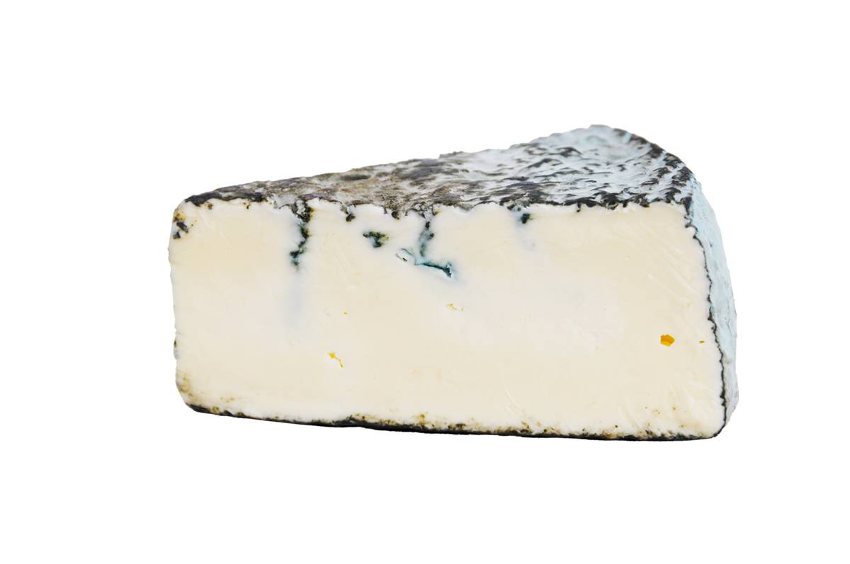 greybabycheese