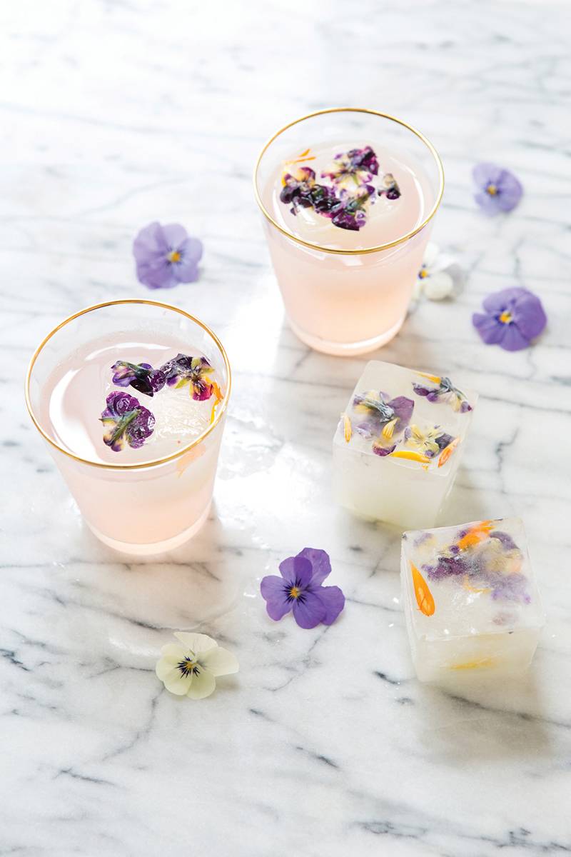 BohoDrinks