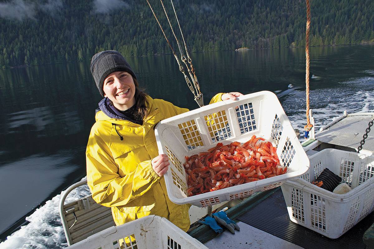 Fishing_Prawns