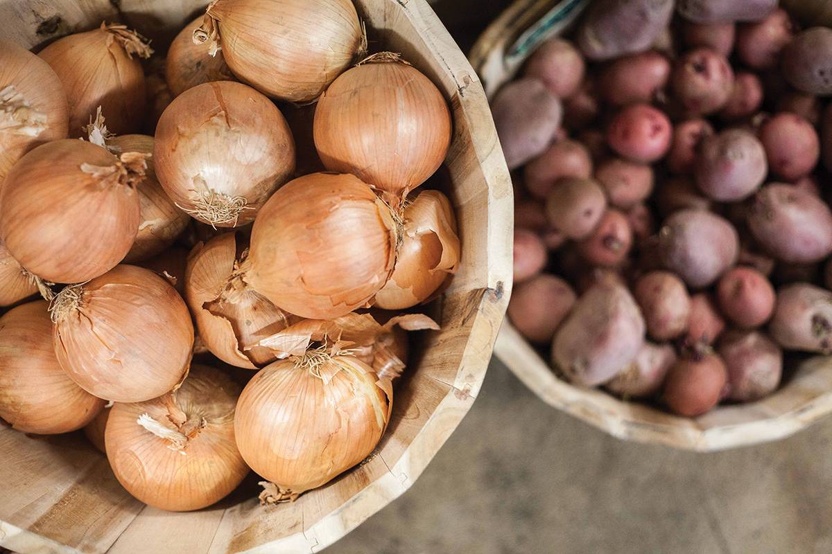 ZWE_Onions