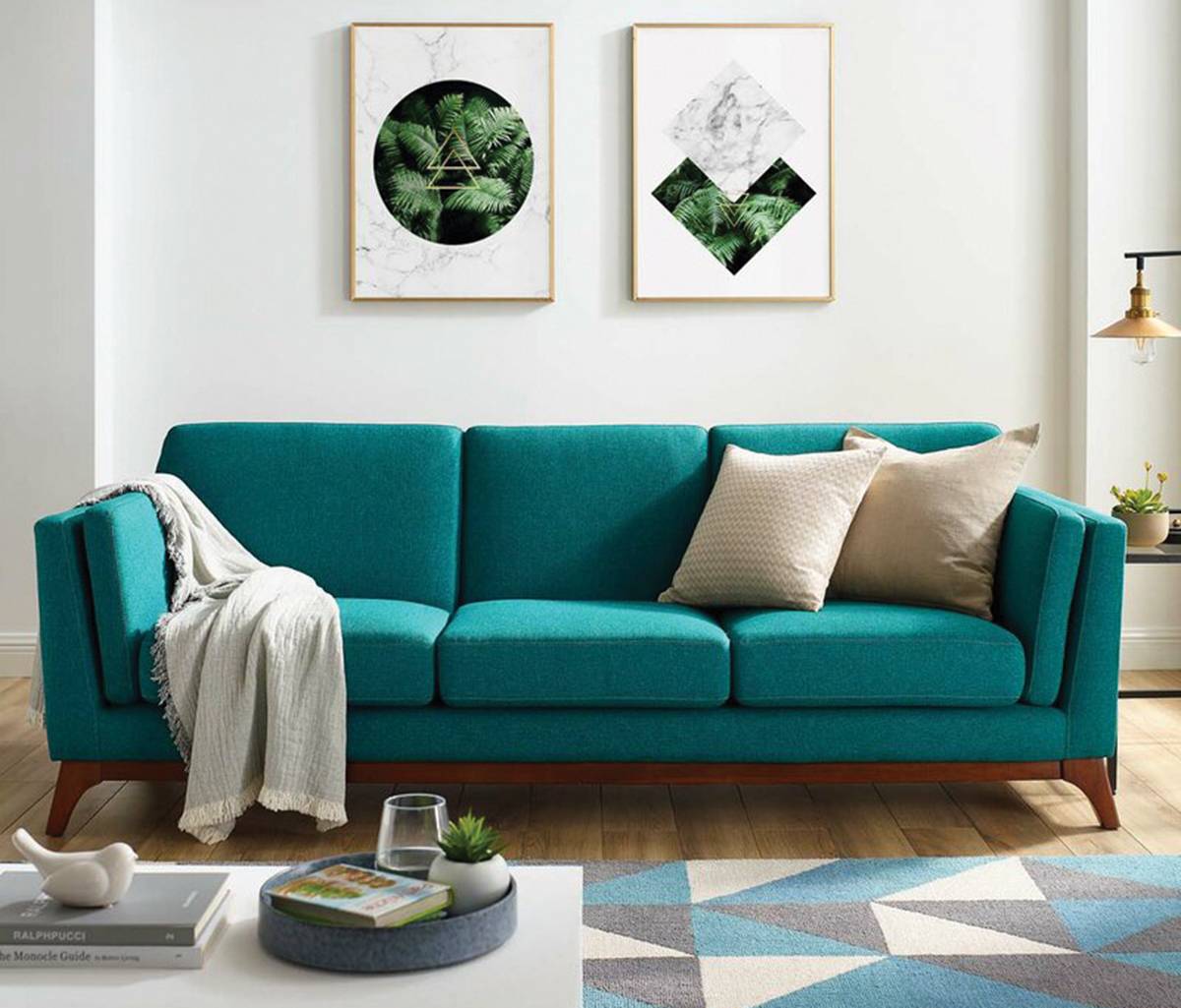 Cleaning_Sofa