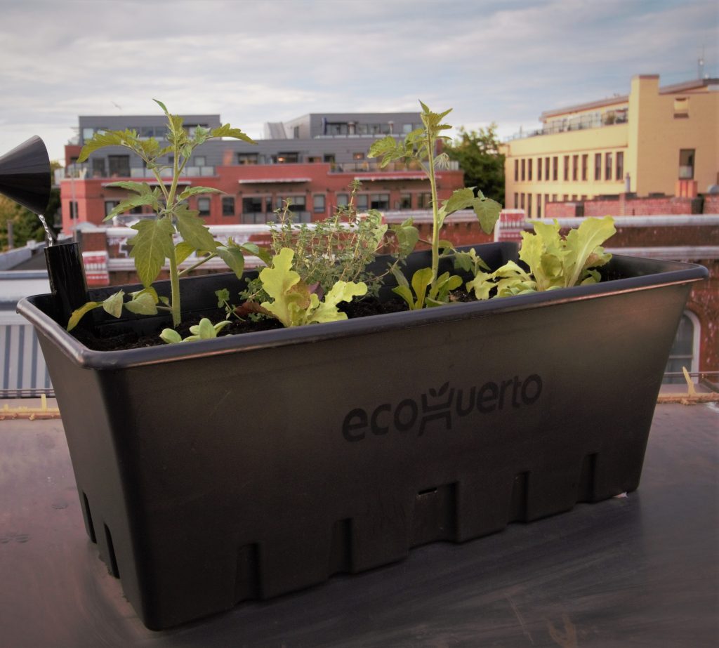 FED rooftop vegetable garden planter