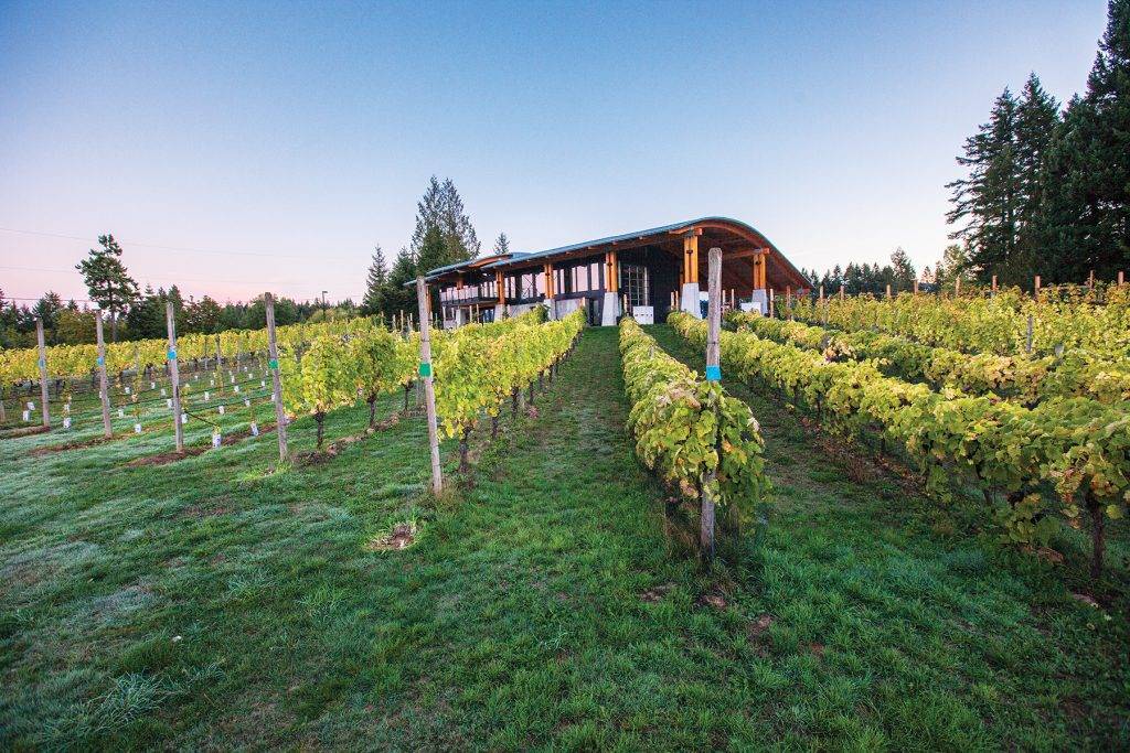 Wine Island - YAM Jul/Aug 2022