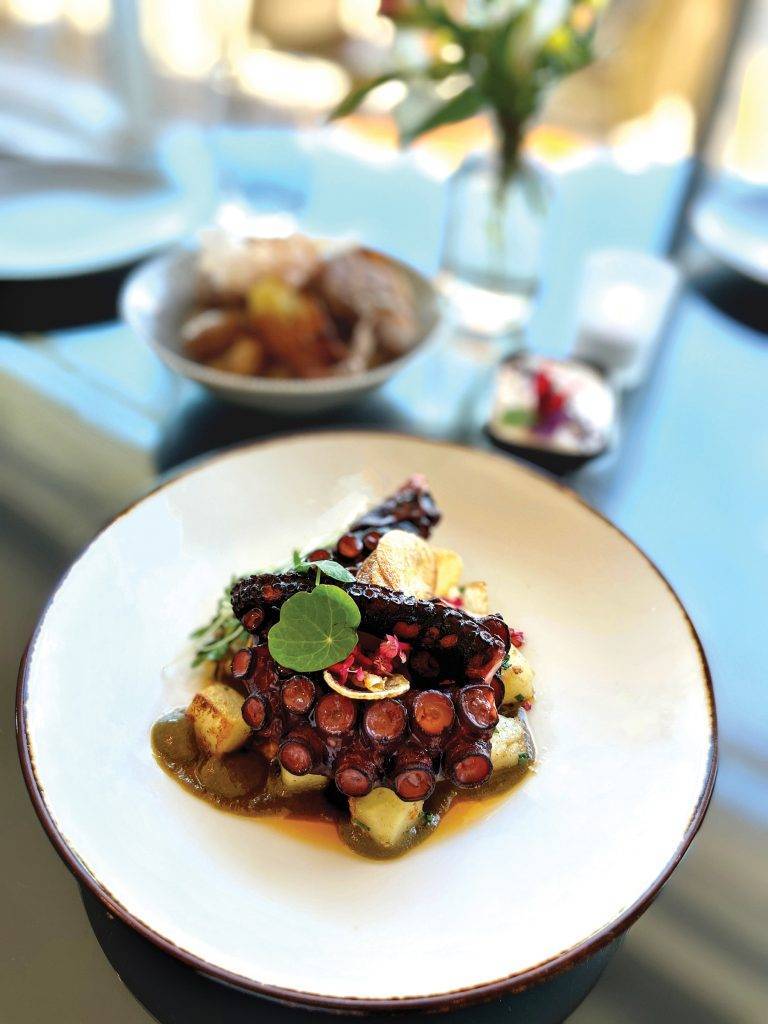 Smart, Sustainable, Succulent Octopus - YAM Sept/Oct 2022