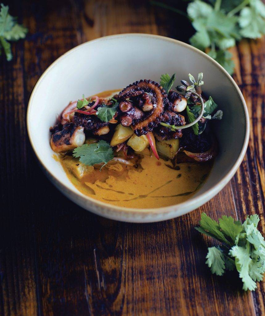 Smart, Sustainable, Succulent Octopus - YAM Sept/Oct 2022