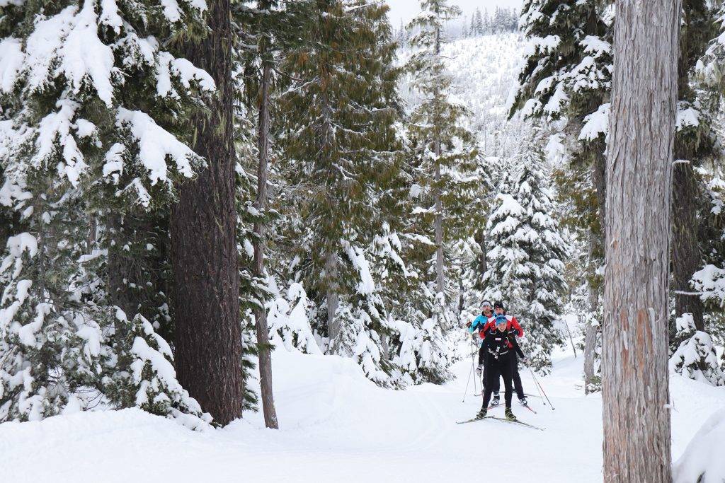 Serenity in the Snow: Why cross-country skiing is B.C.'s fastest-growing winter sport - YAM Holiday Issue Nov/Dec 2022