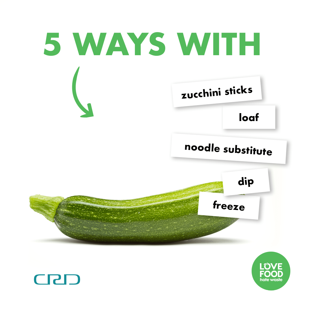 zucchini YAM MAGAZINE