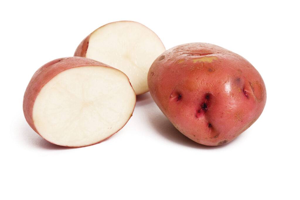 One Potato, Two - YAM Magazine Home Issue Mar/Apr 2023