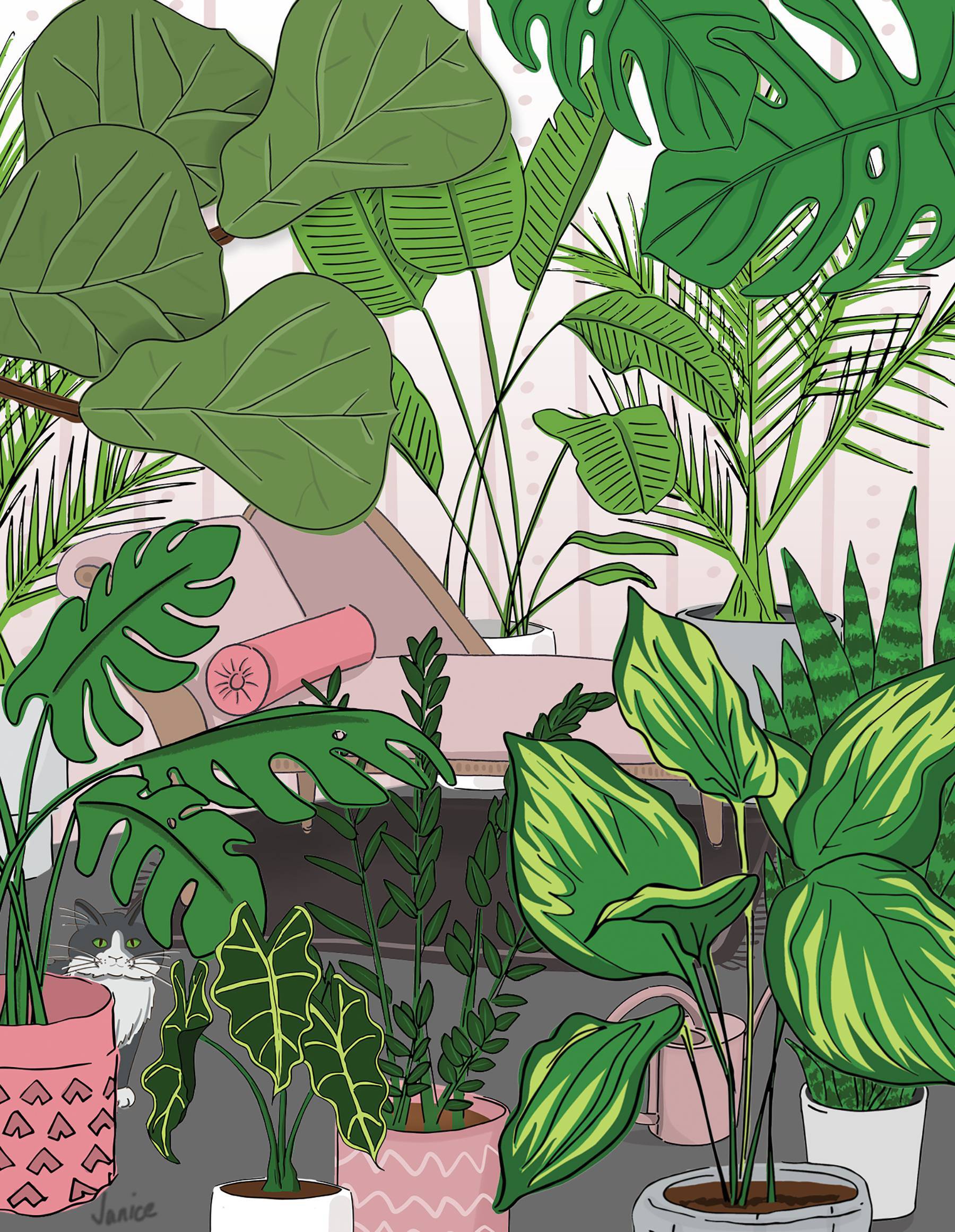 plants-opening2