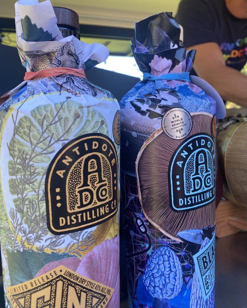 Ginuary festival article - YAM 2023