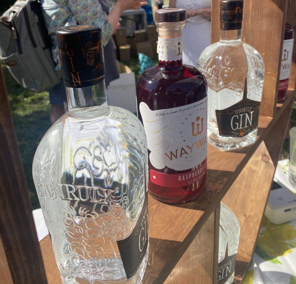 Ginuary festival article - YAM 2023