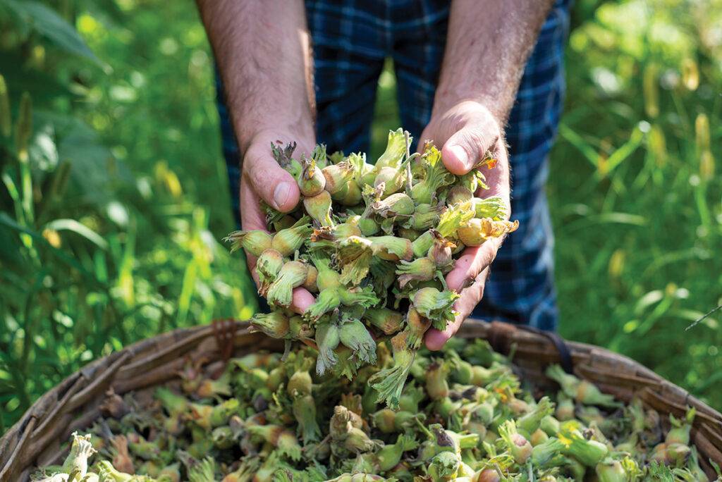 Savour the season - YAM Magazine Sept/Oct 2023