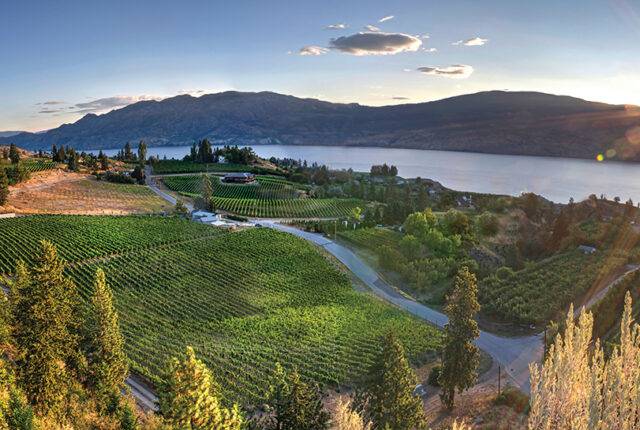 Why you should add the Okanagan Valley’s best-kept secret to your travel plans - YAM SEPT/OCT 2023