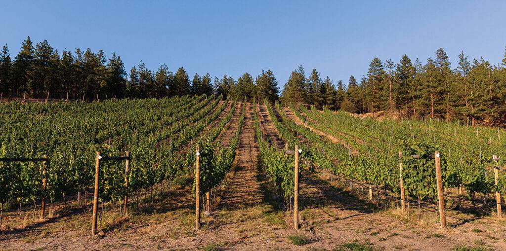 Why you should add the Okanagan Valley’s best-kept secret to your travel plans - YAM SEPT/OCT 2023