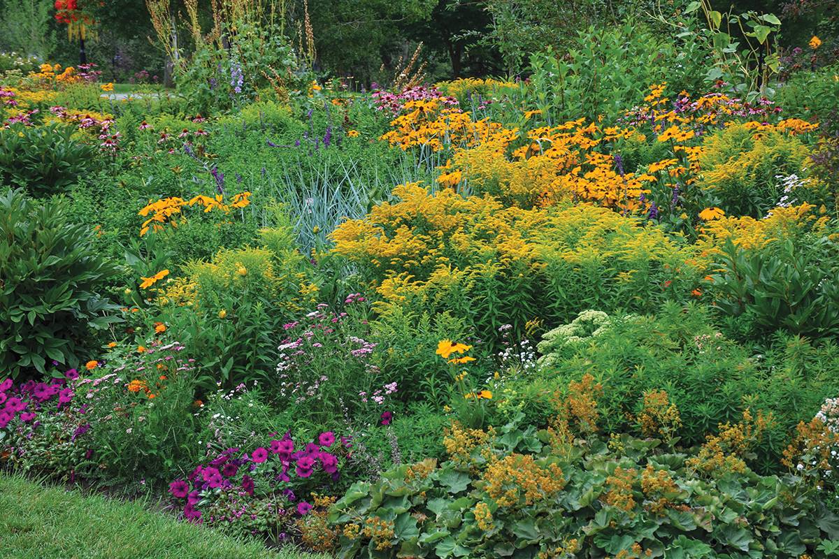 Ever-Blooming Garden - YAM Mar/Apr 2024