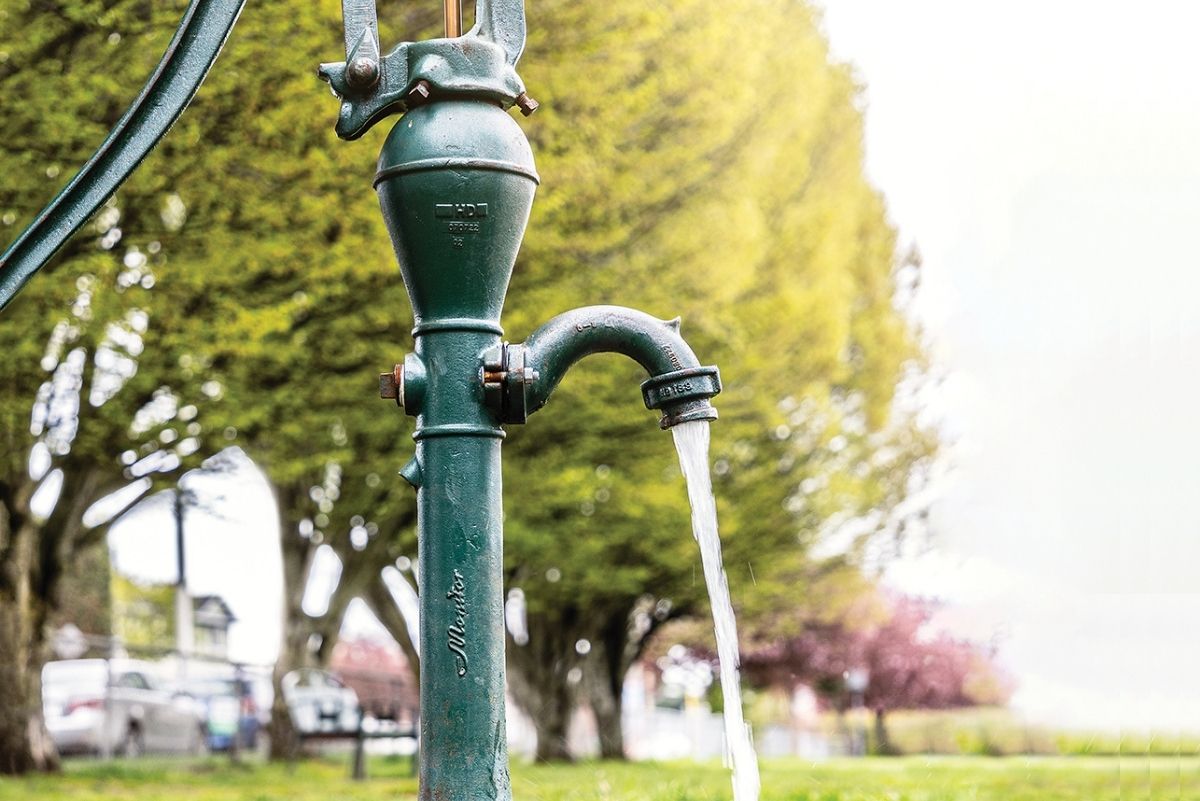 Fernwood Community Well