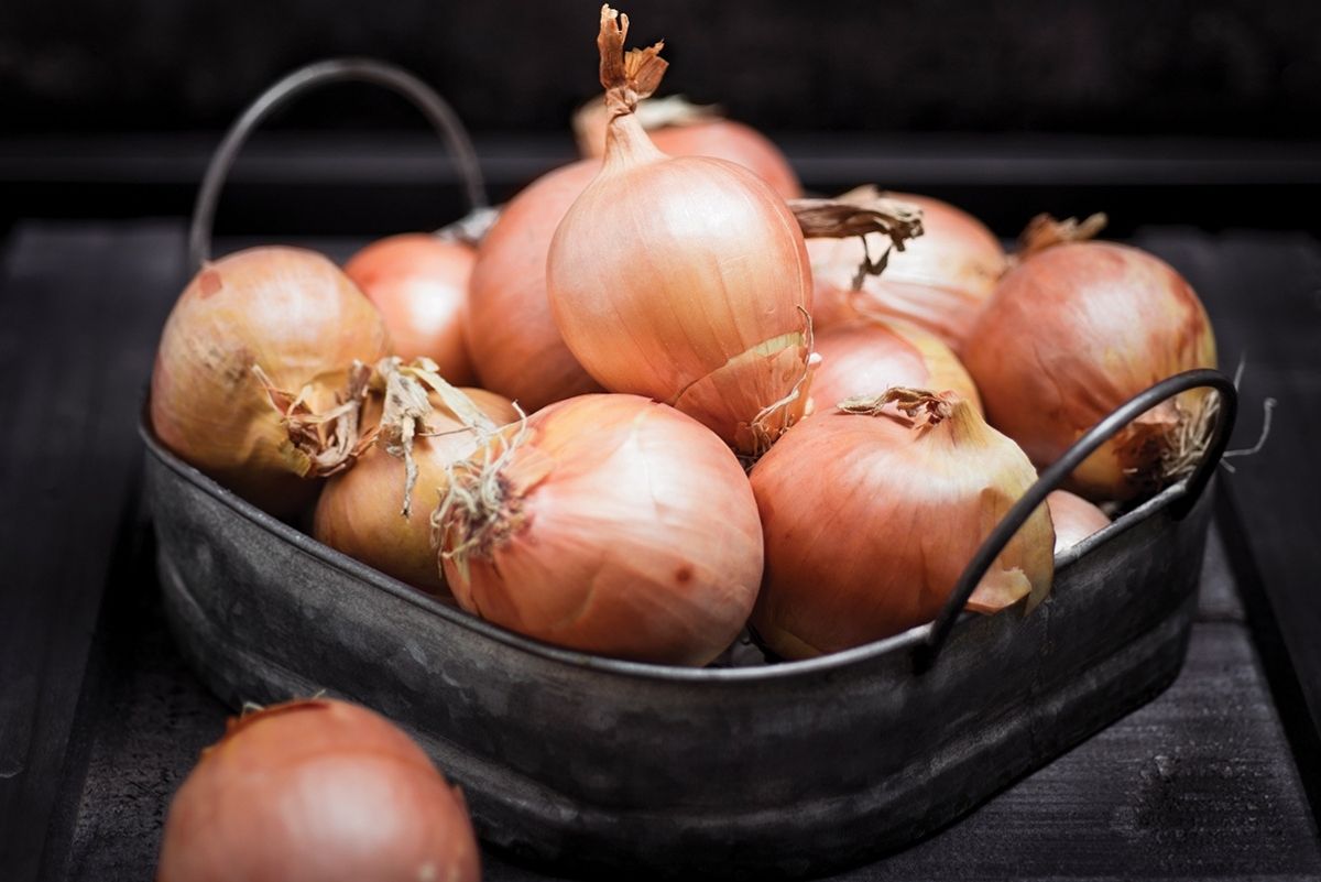 Types of Onions